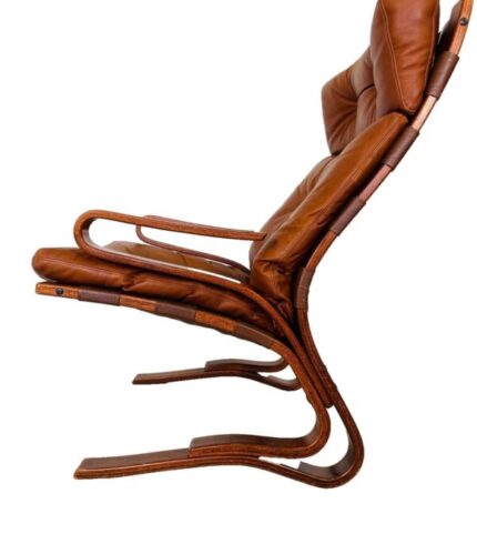 vintage-scandinavian-cognac-lounge-chair-and-foot-stool-by-oddvin-rykken-1960s-set-of-2-2.jpg